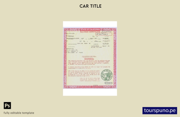 Plantilla de certificado de salvamento de California de EE. UU. lista para impri